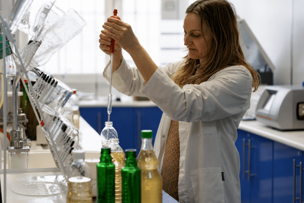 desarrollo lab