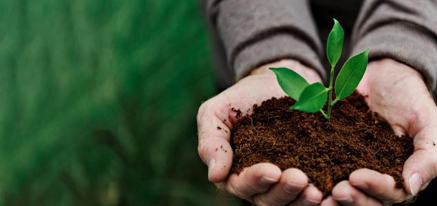 Compromiso con la Agricultura Ecologica
