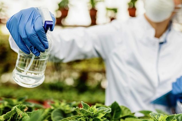 Vinagre como Herbicida Natural