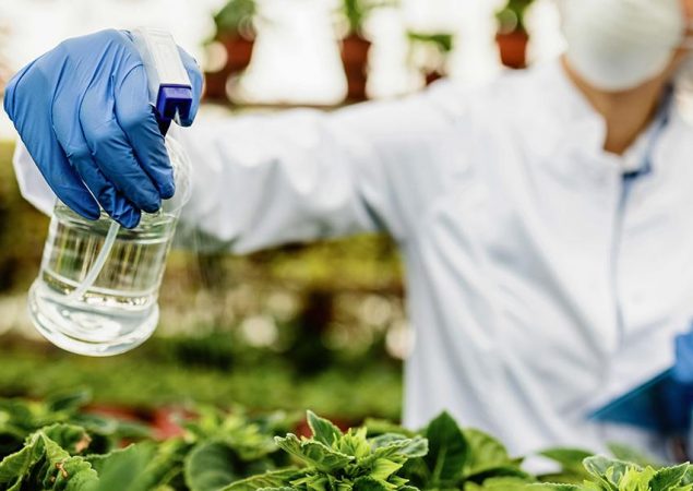 Vinagre como Herbicida Natural